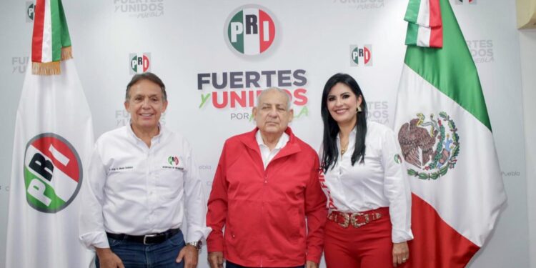 Juan José Castro Justo es el nuevo presidente del PRI