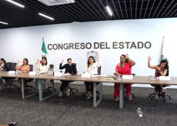 Aprueba Comisión del Congreso el diseño e implementación de protocolos para la prevención, detección y atención de la violencia vicaria